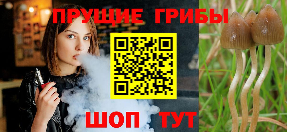 Галлюциногенные грибы Magic Shrooms Минусинск