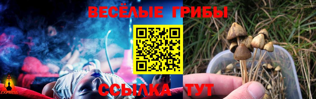 Псилоцибиновые грибы мицелий  Псилоцибиновые грибы Cubensis  Минусинск  Вход с VPN 