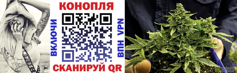 omg зеркало  Минусинск  Бошки марихуана план 